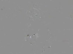 کانال های سکسی من می خواهم به تند و دیک خود به بدن من