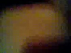 اندونزی سگسی فیلم 