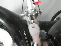 شیر دانلود فیلم سیکس کیت