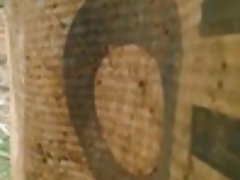 دریافت فیلم سکسی سگ ماده, دیوانه بود