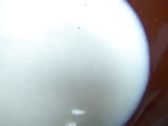 عکس کون richtig lactamanija