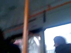 کس پشم دار حمل و نقل نمایشگاه 2
